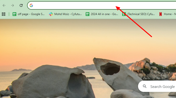 Chrome Net Internals DNS